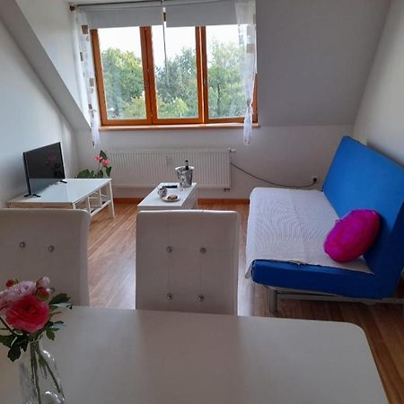 Riegrova Apartment Ceske Budejovice Exterior photo